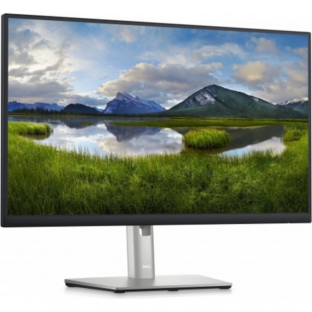 Монитор Dell 23.8" P2423DE черный IPS (210-BDDW)