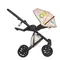 Коляска ANEX e/type 2 в 1 (et-SE04) joy