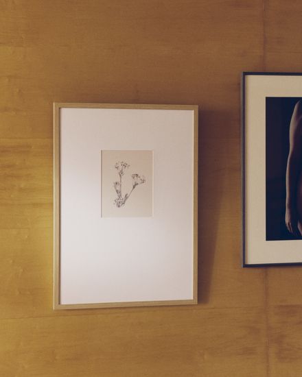 Картина Lirena с ботанической иллюстрацией 50 x 70 см