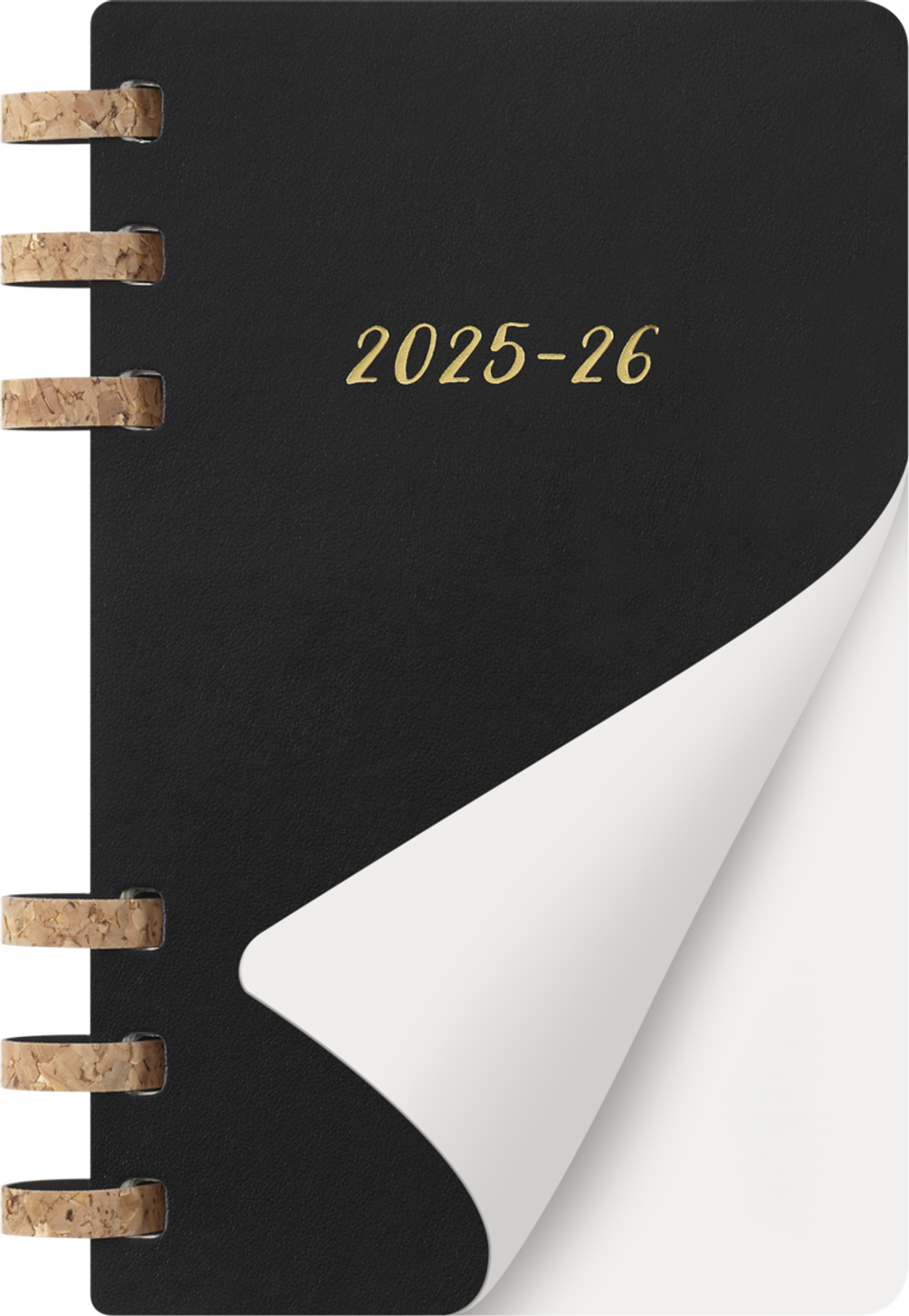 Еженедельник Moleskine ACADEMIC SPIRAL (DSSPB12AMWH3) Large 150х210мм 200стр кремовые страницы спираль черный