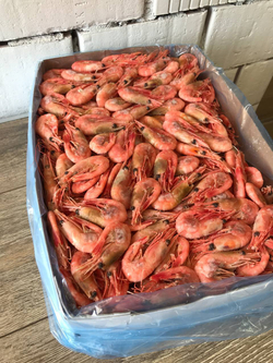 Креветка северная 90/120 Гренландия