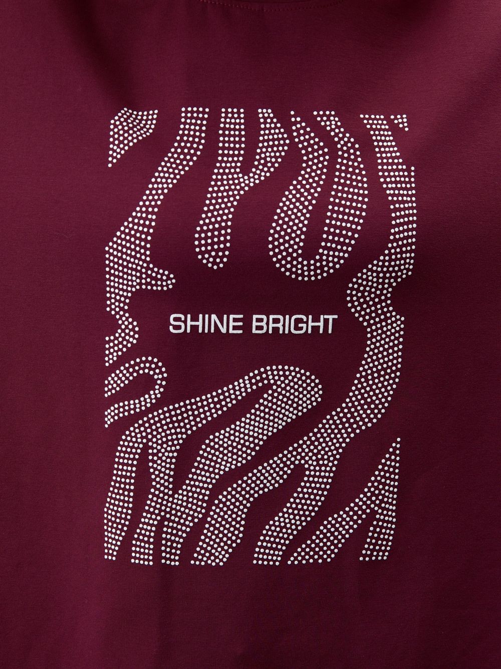 Футболка Флеш-5 Виотекс БОРДОВЫЙ