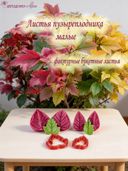 Листья пузыреплодника калинолистного малые