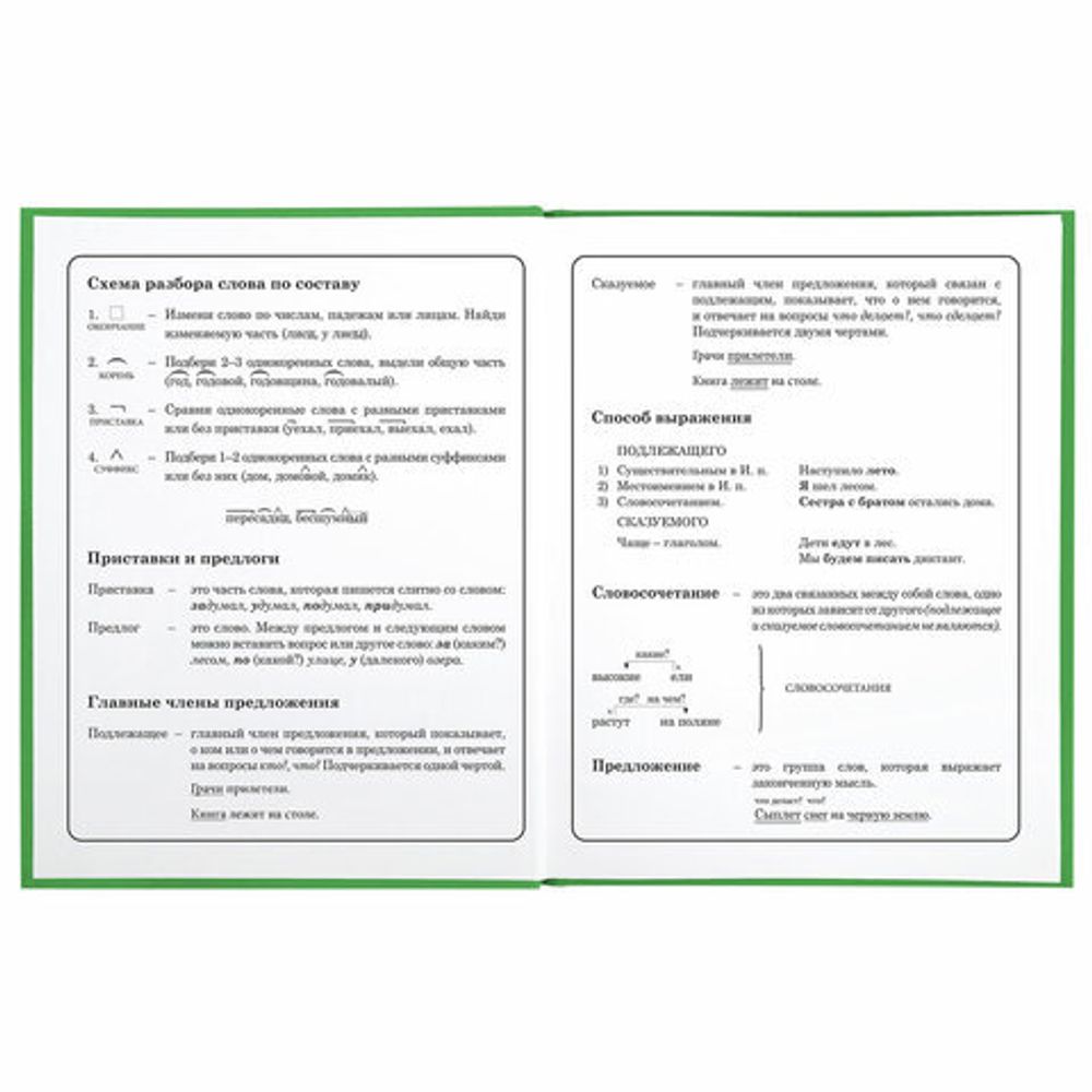 Дневник 1-4 класс 48 л., твердый, BRAUBERG, глянцевая ламинация, с подсказом, "Авокадики", 106359