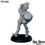 Эльф Полуэльфы Темные эльфы Дроу Бард миниатюра для dnd, днд, pathfinder, фентези, Настольная игра, НРИ, Варгейм, РПГ