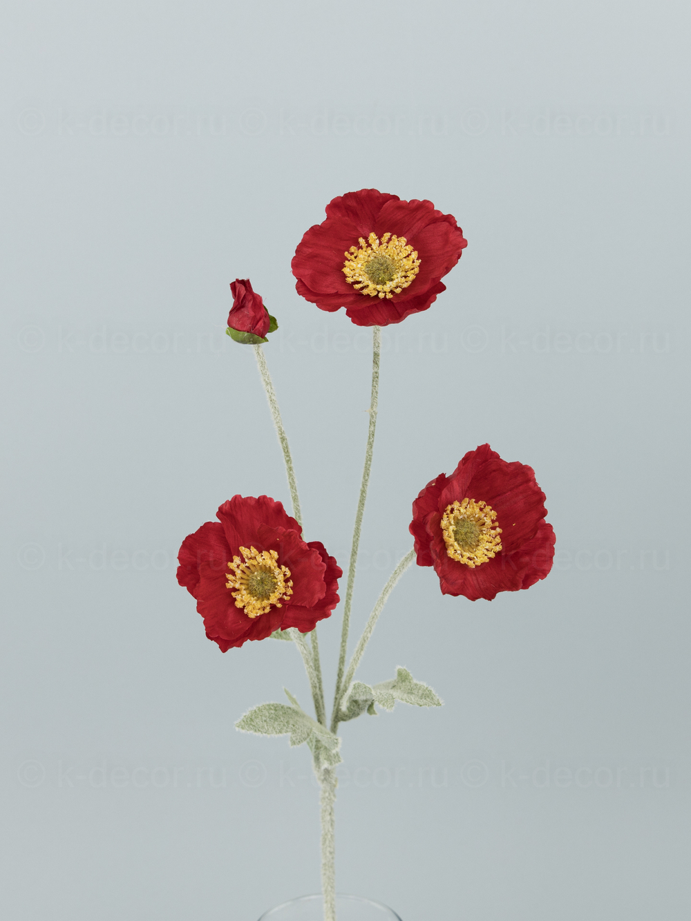 Ветка мака Мария красная