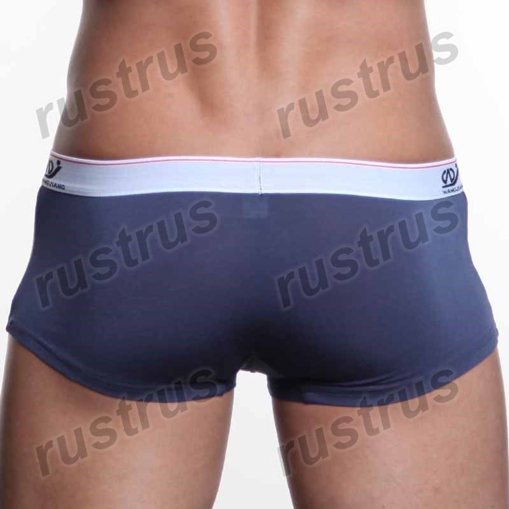 Мужские трусы хипсы синие WANGJIANG WG00002