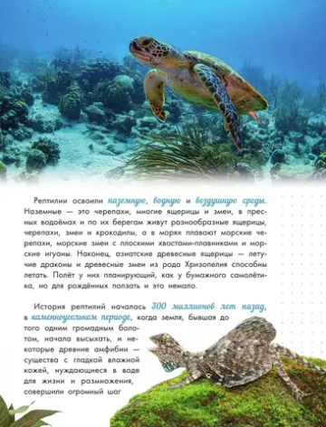 Змеи, ящерицы, черепахи