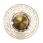 Настенный светодиодный светильник Citilux Jantar CL240313