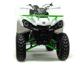 Квадроцикл MOTOLAND 200 Shark (2021 Г.)