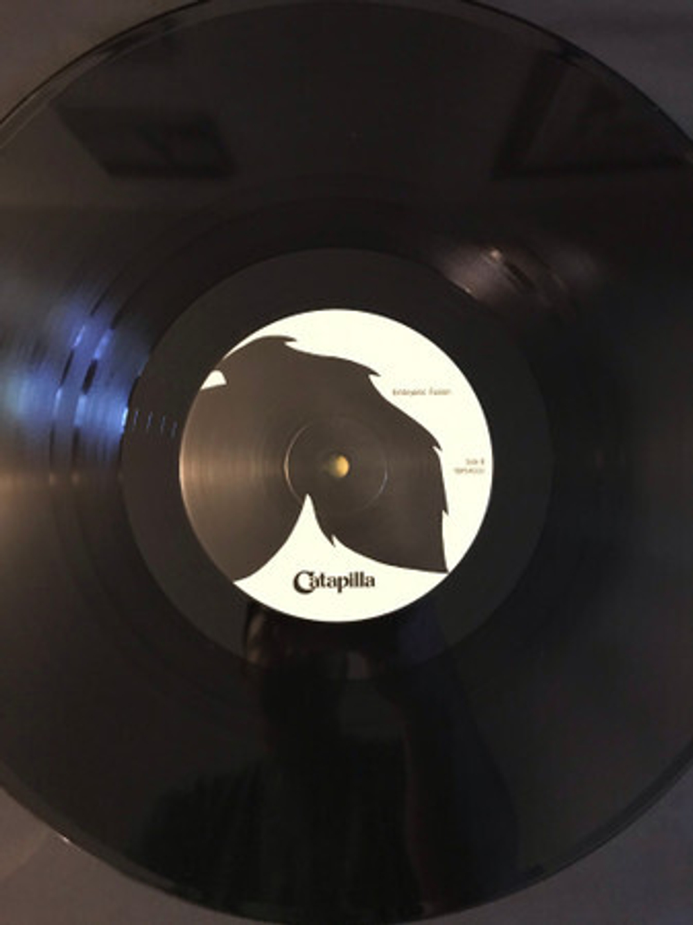 Catapilla / Catapilla (LP)