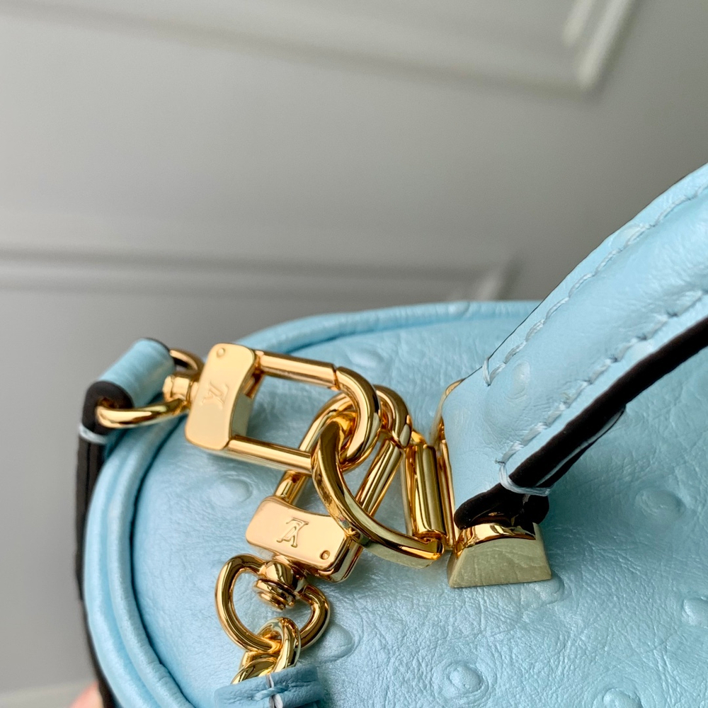 Louis Vuitton Vanity Chain Pouch