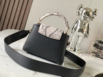 Louis Vuitton Capucines Mini