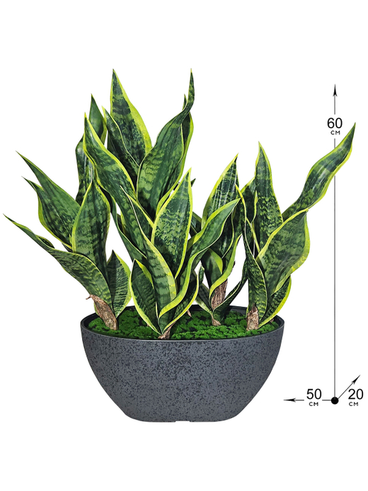 Щучий хвост зеленый 60см в кашпо Лофт Лодка Средняя