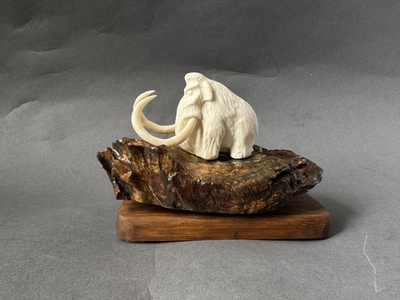 Мамонт на зубе