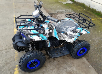 Квадроцикл GreenCamel Гоби K32 (36V 1000W R6 Цепь) ножной тормоз