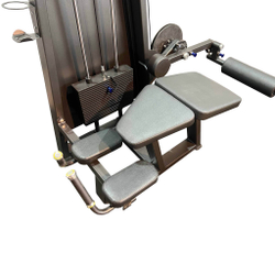 A2001 Сгибание ног лежа. Стек 100 кг