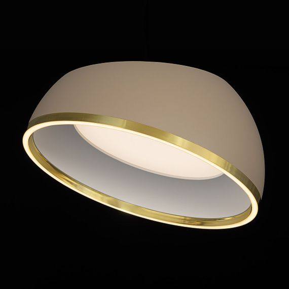 Потолочный светодиодный светильник Citilux Floom CL736152