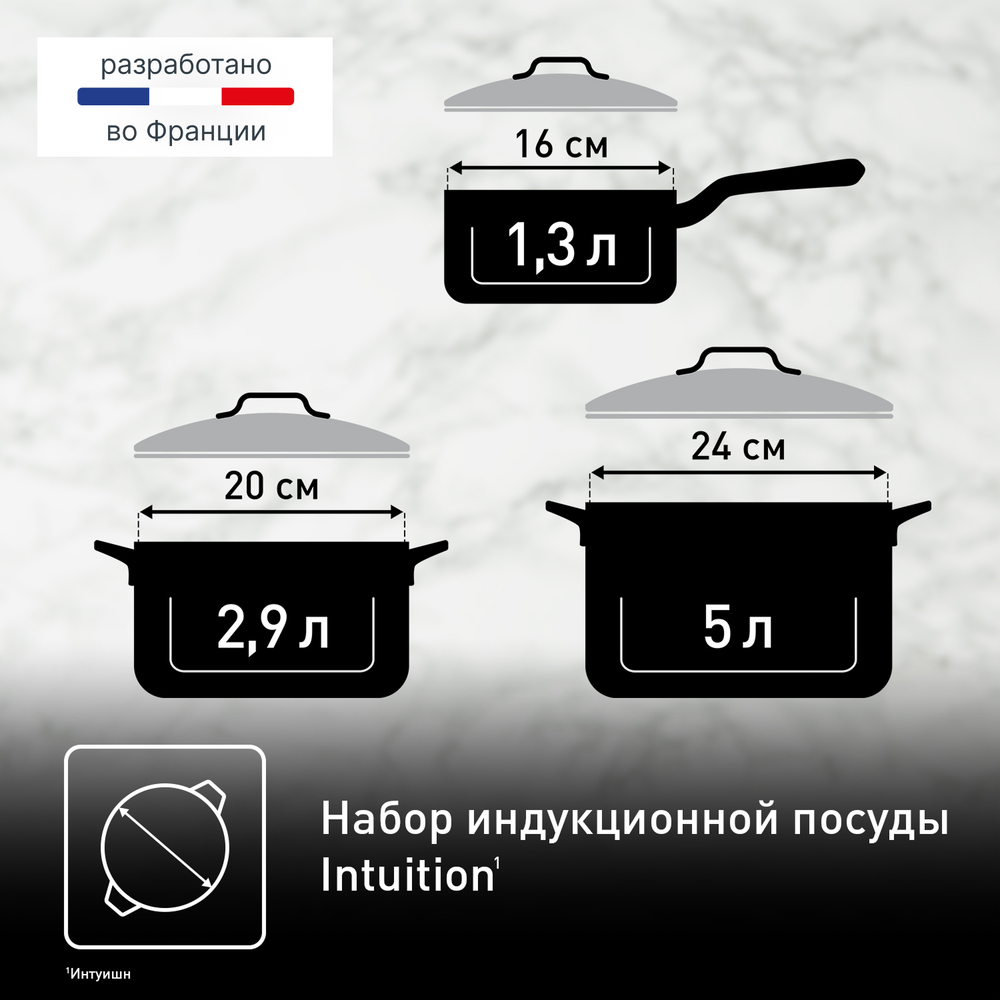 Набор посуды Tefal Intuition 6 предметов 1,3/2,9/5л 16/20/24см B864S674