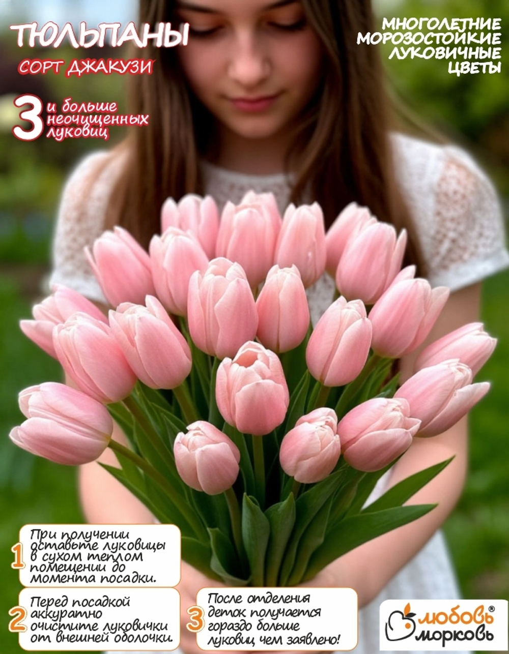 Тюльпан Луковица, Джакуззи, 3+шт