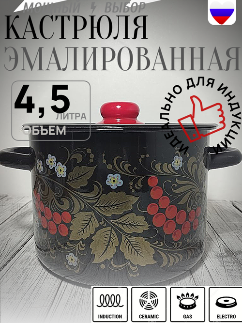 Кастрюля 4,5л Рябина черный 1с17с