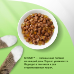Говядина в желе, 85г влажный корм для кошек KiteKat