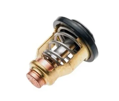 Термостат Yamaha 6DA124110100