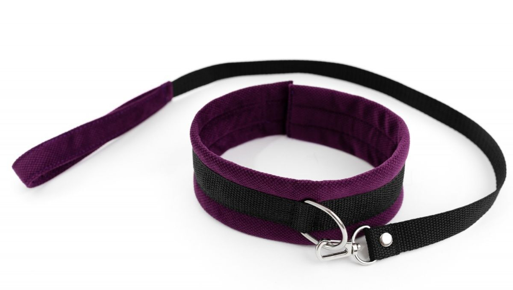 Фиолетово-черный ошейник My rules с поводком (Цвет: фиолетовый с черным)