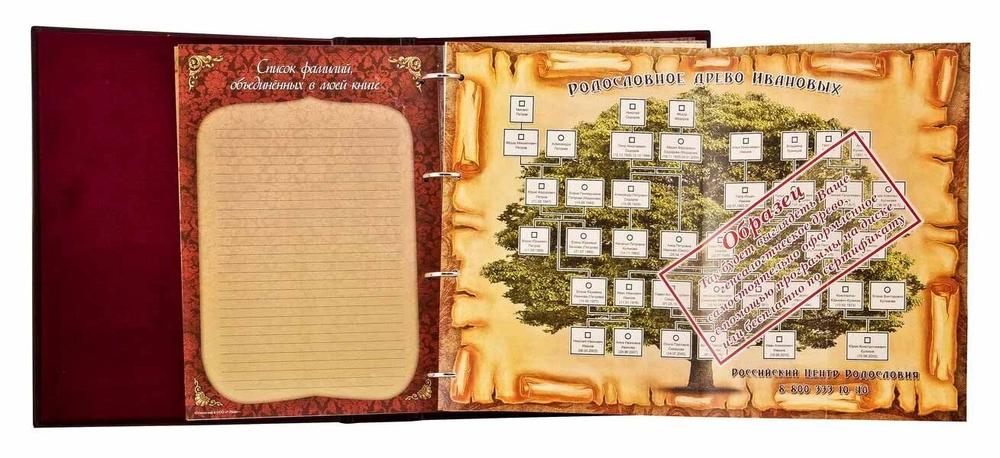 Родословная книга кожаная обложка (в подарочной коробке) РК-10