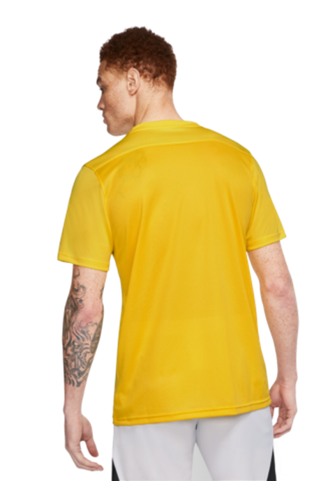 Футболка Nike Dry Park VII SS