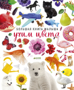 Большая книга малыша. Учим цвета