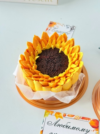 Купол «Подсолнух»