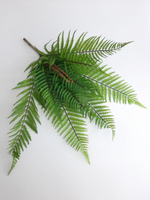 Нефролепсис крупный / Арт 6049