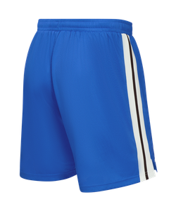 Шорты баскетбольные JÖGEL DIVISION PerFormDRY Shorts Z2, синий