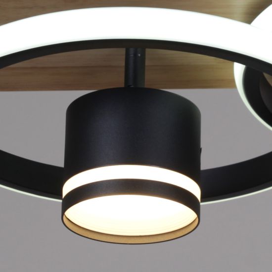 29560-0.3-2+2 BK+WOOD светильник потолочный