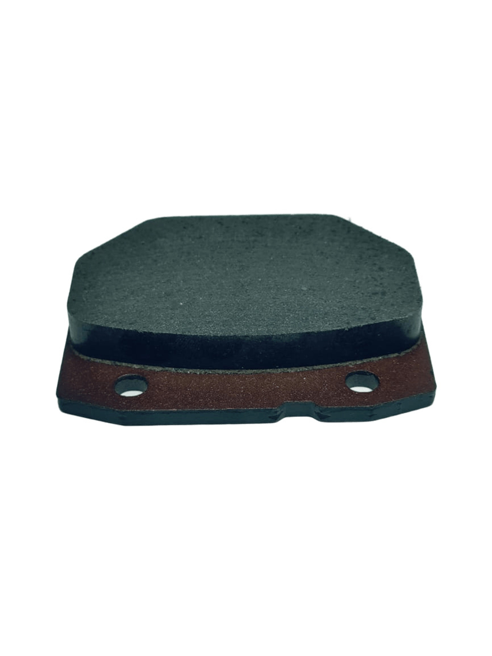 WhatsApp Image 2025-11-13 at 10.24.07 (1)