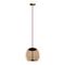 Подвесной светодиодный светильник Loft IT Knot 8135-B mini