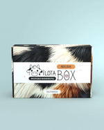 MilotaBox "Moo Box"