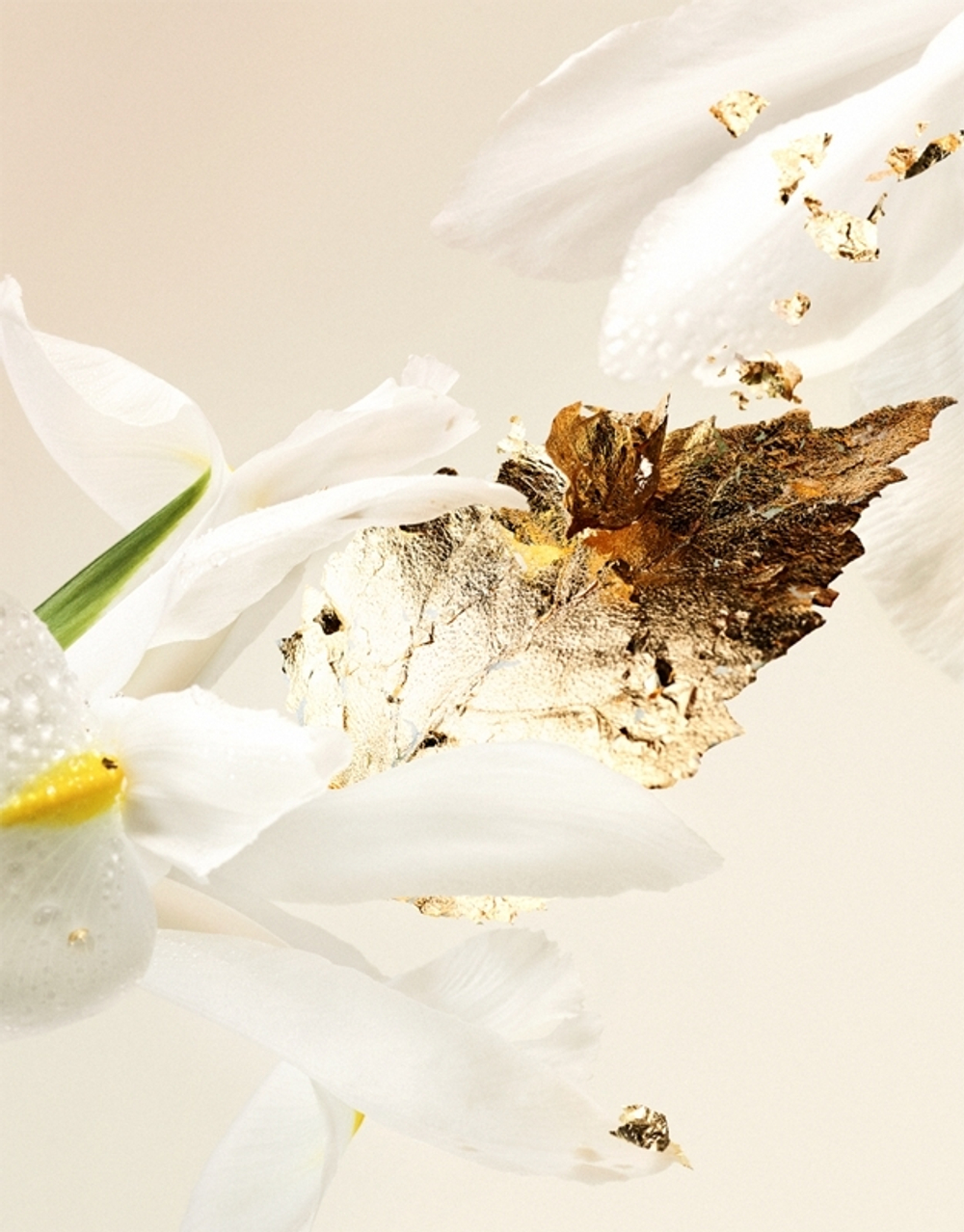 BVLGARI BULGARI Splendida Bvlgari Patchouli Tentation парфюмерная вода женская
