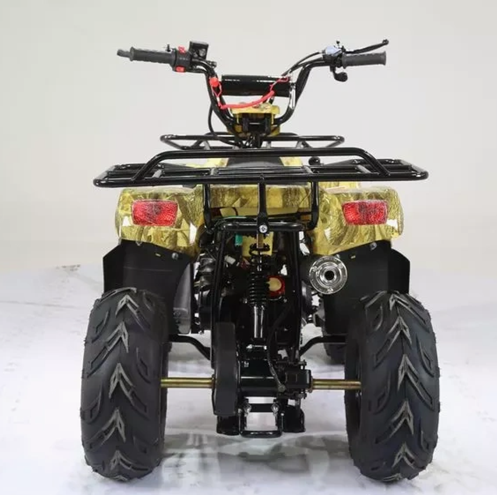 Квадроцикл MOTOLAND (МОТОЛЕНД) 110 RIDER