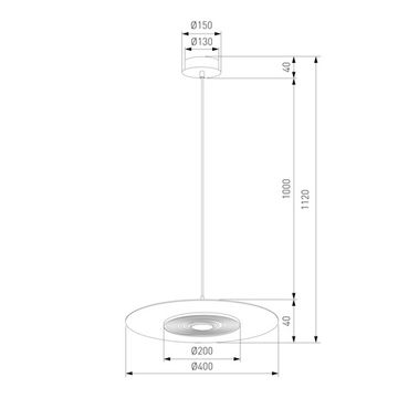 40030/1 LED / подвесной светильник / черный