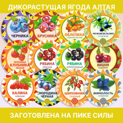Астрагал шерстистоцветковый Экстра (цвет с листом) травяной чай.