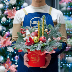 Яркая новогодняя композиция с нобилисом в красных тонах