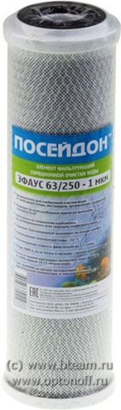 Картридж Посейдон ЭФАУС 63/250-1мкм (уголь) SL10