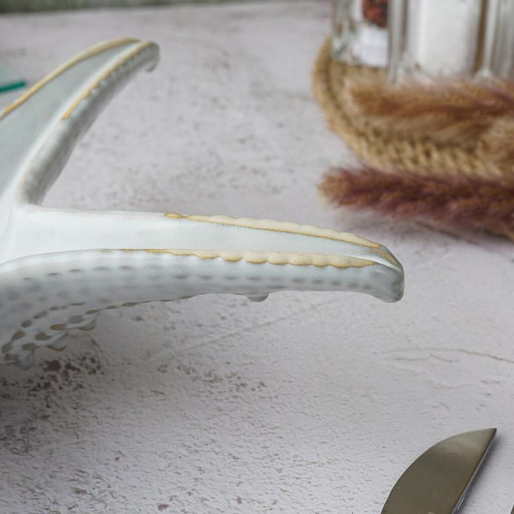 Блюдо для подачи 24 см h6 см Звезда Gray Starfish Frutti di Mare P.L. [1]