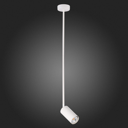 Светильник на штанге ST-Luce SL1206.503.01