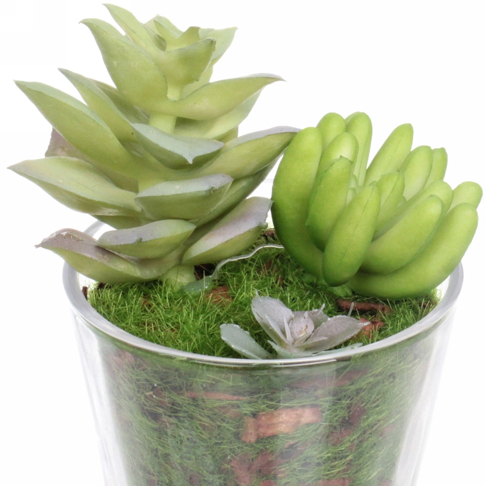Цветок искусственный «Суккулент» 6*10см в стеклянном горшке ZPY-19