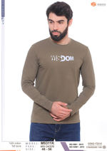 9311К Мужская футболка с длин. рукавом (с принтом) (56-3XL)