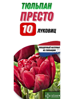 Тюльпан Луковица, Престо, 10шт