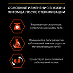 Сухой корм PRO PLAN Sterilised VITAL FUNCTIONS для стерилизованных кошек для поддержания функций почек мозга и иммунитета лосось 3 кг